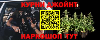 дживик Малгобек