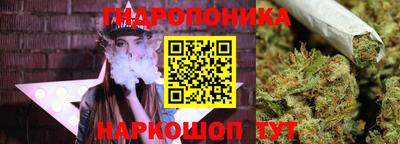 прущие грибы Малоярославец