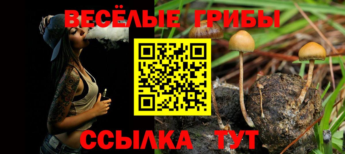 Выборг  Псилоцибиновые грибы Cubensis  Галлюциногенные грибы MAGIC MUSHROOMS  Вход с VPN 