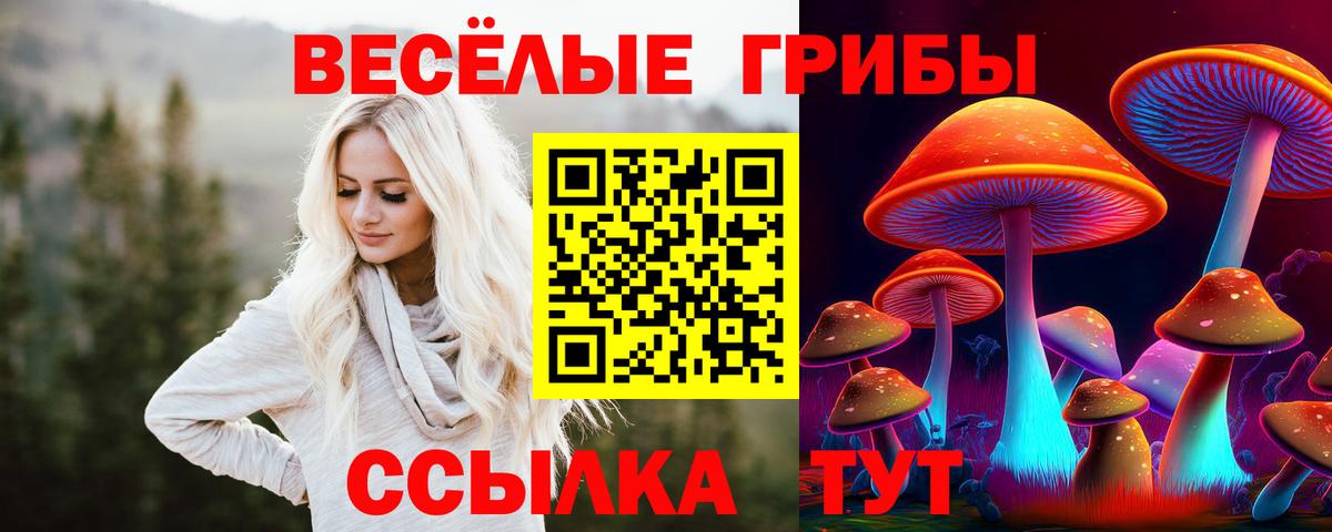 Псилоцибиновые грибы GOLDEN TEACHER Выборг